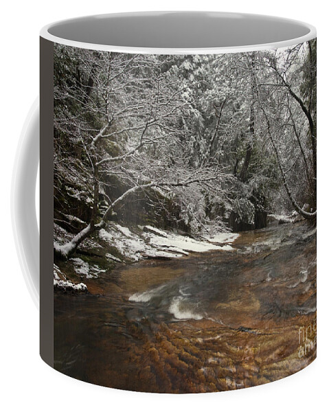 Landscape Coffee Mug featuring the photograph Berry Creek In Winter #1 by Ron Sanford