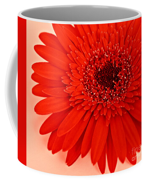 Red Gerbera Coffee Mug featuring the photograph Big Red #1 by Clare Bevan