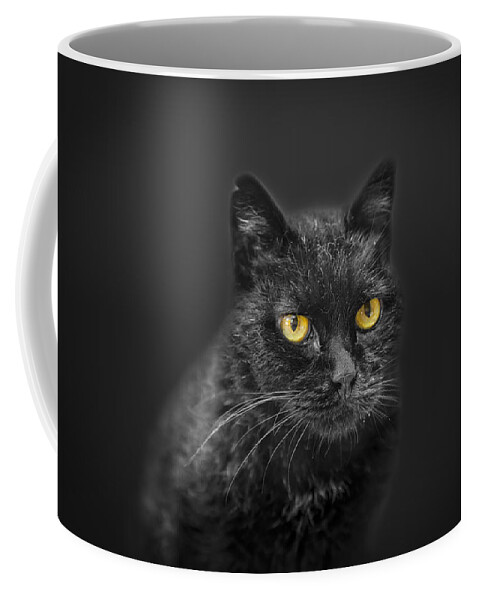 Animal Coffee Mug featuring the photograph Black Cat by Peter Lakomy