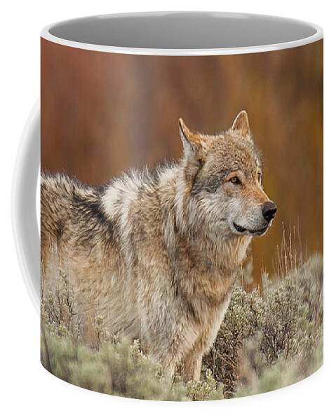 Wolf Coffee Mug featuring the photograph Blacktail Survey #1 by Kevin Dietrich
