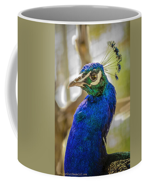 Animals Coffee Mug featuring the photograph Blue Peacock #1 by LeeAnn McLaneGoetz McLaneGoetzStudioLLCcom