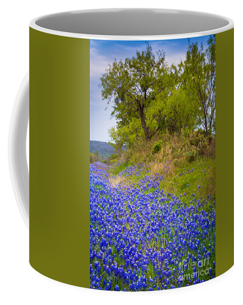 America Coffee Mug featuring the photograph Bluebonnet Meadow #1 by Inge Johnsson