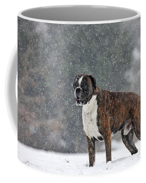 Dog Coffee Mug featuring the photograph Boxer In Snow #1 by Johan De Meester