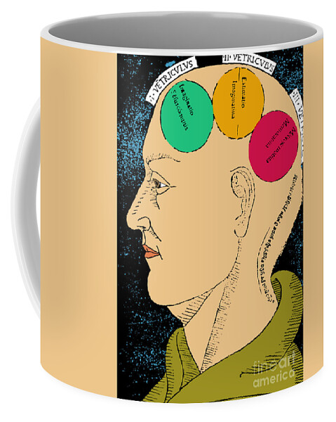 Woodblock Coffee Mug featuring the photograph Brain Functions Albertus Magnus Woodcut #2 by Science Source