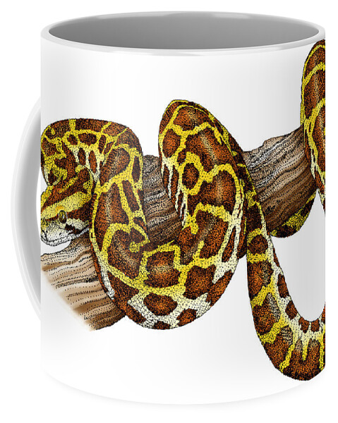 Snake Coffee Mug featuring the photograph Burmese Python #1 by Roger Hall