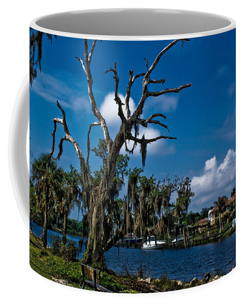 Landscape Coffee Mug featuring the photograph By the River #1 by Chauncy Holmes
