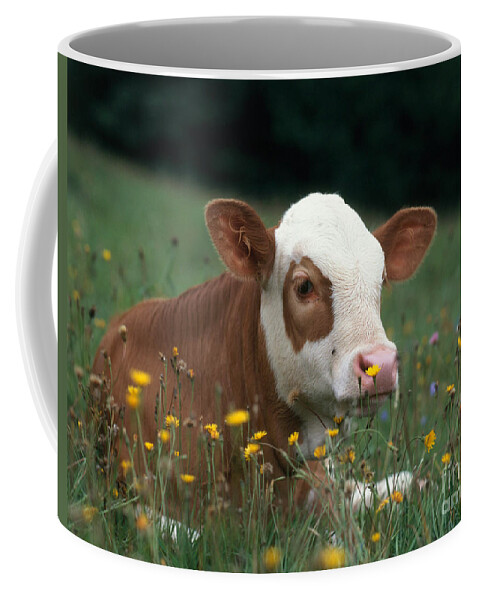 Animal Coffee Mug featuring the photograph Calf Among Flowers #3 by Hans Reinhard