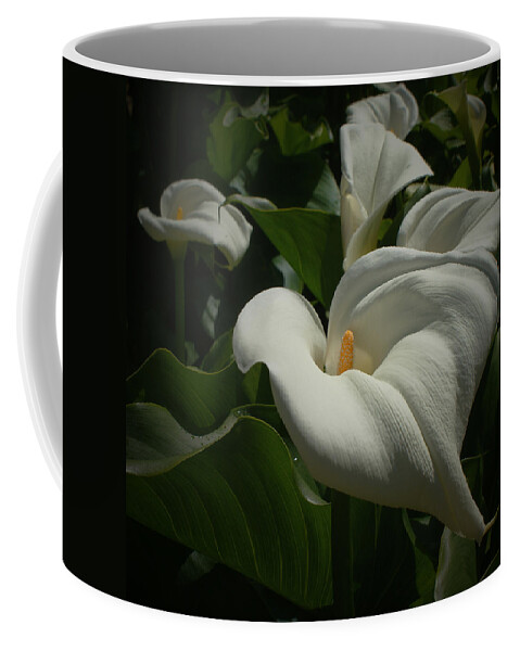 Calla Lilies Coffee Mug featuring the photograph Calla Lilies #1 by Ernest Echols
