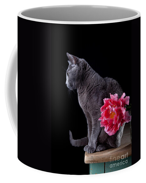 Cat Coffee Mug featuring the photograph Cat and Tulip #1 by Nailia Schwarz