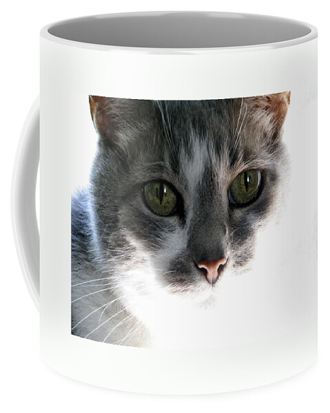 Feline Coffee Mug featuring the photograph Gray Cat with Green Eyes by Valerie Collins