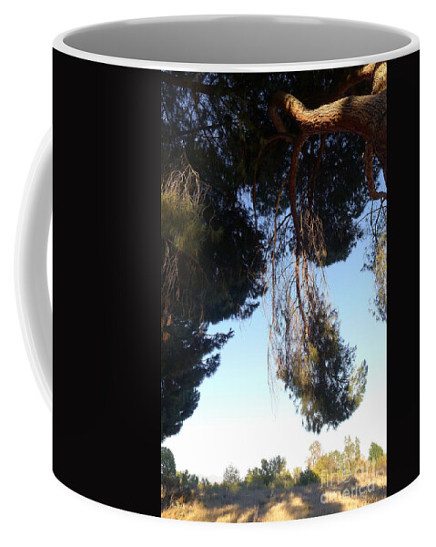 Chandelier Coffee Mug featuring the photograph Chandelier #2 by Nora Boghossian