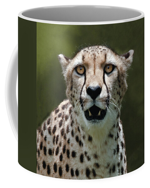 Cheetah Coffee Mug featuring the photograph Cheetah Portrait #1 by William Bitman