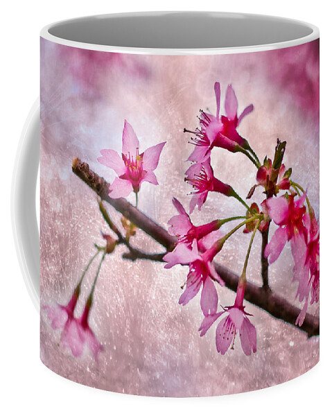 Cherry Blossom Coffee Mug featuring the photograph Cherry Blossoms by Elvira Pinkhas