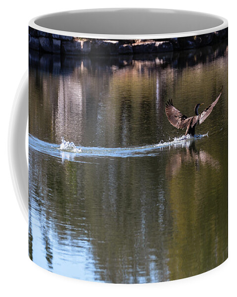Duck Coffee Mug featuring the photograph Cormorant landing #1 by John Johnson
