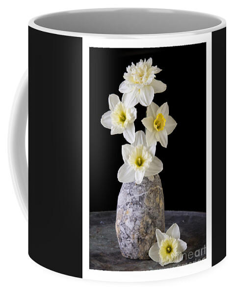 Narcissus Coffee Mug featuring the photograph Daffodils #1 by Edward Fielding