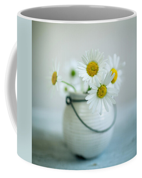 Daisy Coffee Mug featuring the photograph Daisy Flowers #1 by Nailia Schwarz