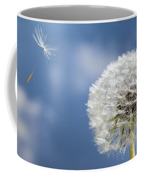534795 Coffee Mug featuring the photograph Dandelion Seed Being On The Wind Oregon #1 by Michael Durham