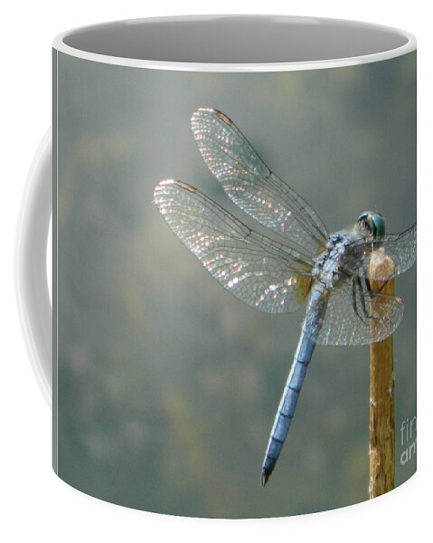 Blue Coffee Mug featuring the photograph Dragonfly on Stick by Gallery Of Hope 