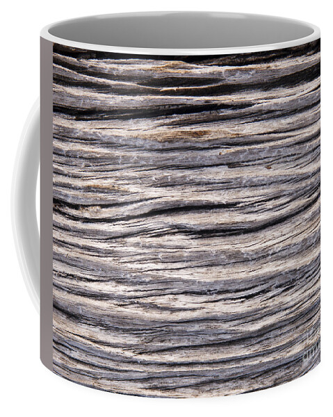 Abstract Coffee Mug featuring the photograph Drift Wood #1 by THP Creative