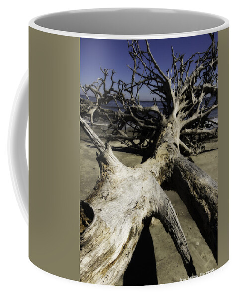 Georgia Coffee Mug featuring the photograph Driftwood #1 by Fran Gallogly