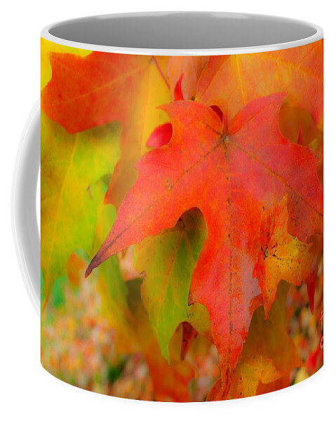 Autumn Coffee Mug featuring the photograph Finale #1 by Gwyn Newcombe