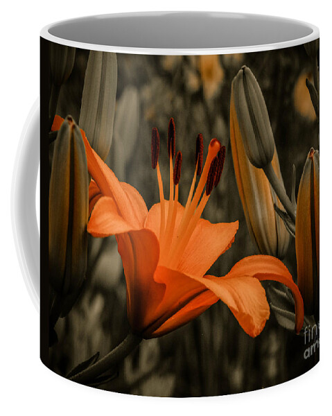 Tiger Lilly Coffee Mug featuring the photograph First to Bloom #1 by Grace Grogan