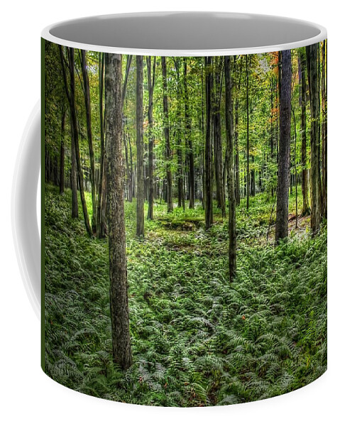  Coffee Mug featuring the photograph Forest Floor #2 by David Armstrong