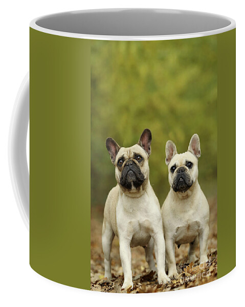 Dog Coffee Mug featuring the photograph French Bulldogs #1 by Jean-Michel Labat