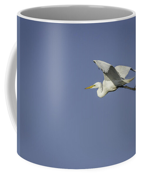  Coffee Mug featuring the photograph Great Egret In Flight by Thomas Young