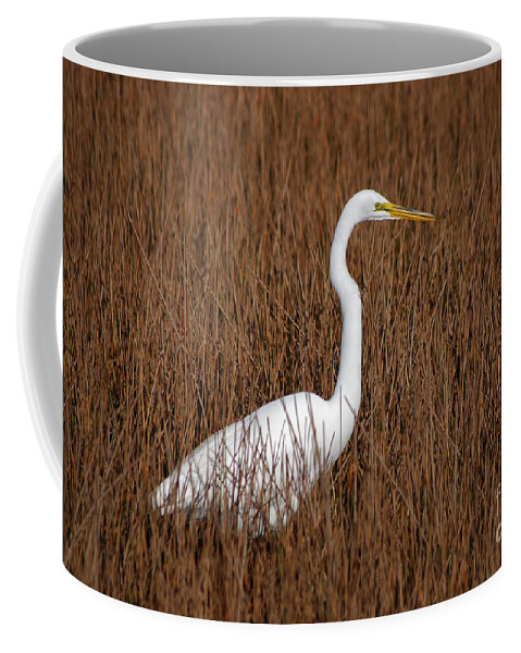 Great Egret Coffee Mug featuring the photograph 1- Great Egret by Joseph Keane