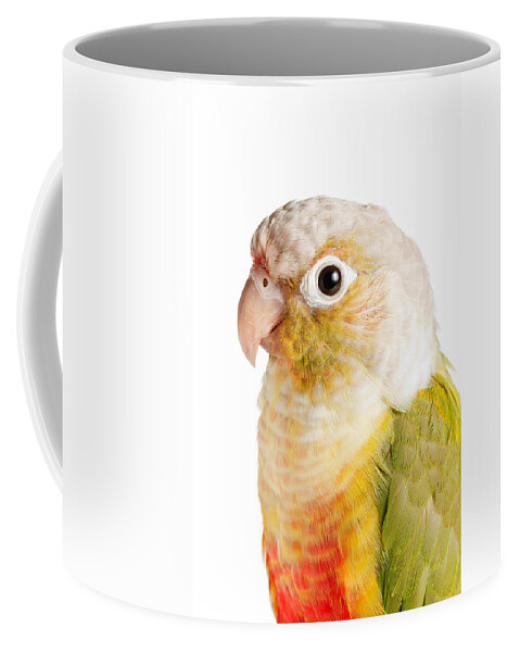 Green-cheeked Conure Coffee Mug featuring the photograph Green-cheeked Conure Pineapple P #1 by David Kenny
