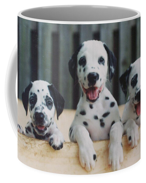 Dalmation Puppy Trio Just A Few Weeks Old. They Are Born Without Spots. It Takes Several Days For Them To Start Showing. Coffee Mug featuring the photograph Hello World #1 by Belinda Lee