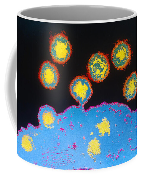 Art Coffee Mug featuring the photograph Hiv Virus Budding From T4 Lymphocyte #1 by Chris Bjornberg