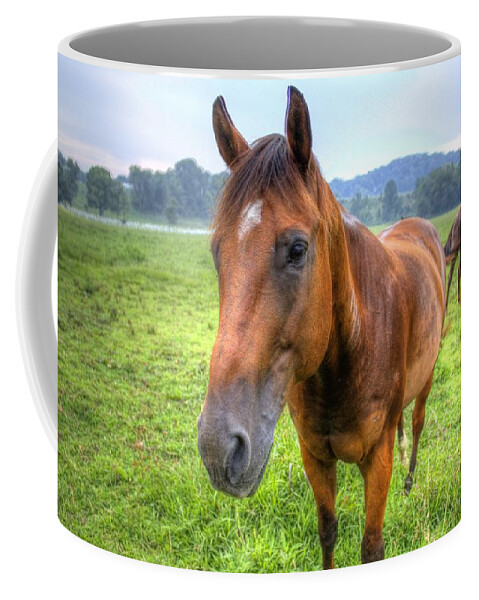 Horse Coffee Mug featuring the photograph Horses in a Field #1 by Jonny D