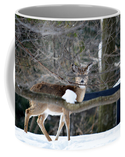 Deer Coffee Mug featuring the photograph I See You #1 by Linda Kerkau