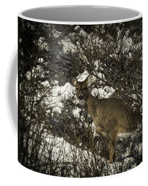 Whitetail Deer Coffee Mug featuring the photograph I See You by Thomas Young