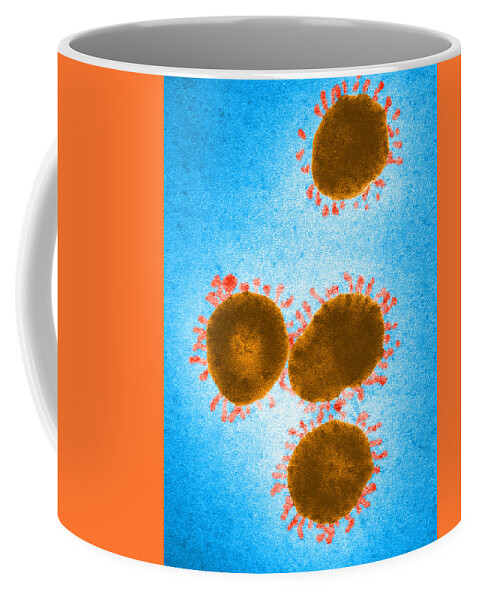 Virus Coffee Mug featuring the photograph Infectious Bronchitis Virus by Science Source