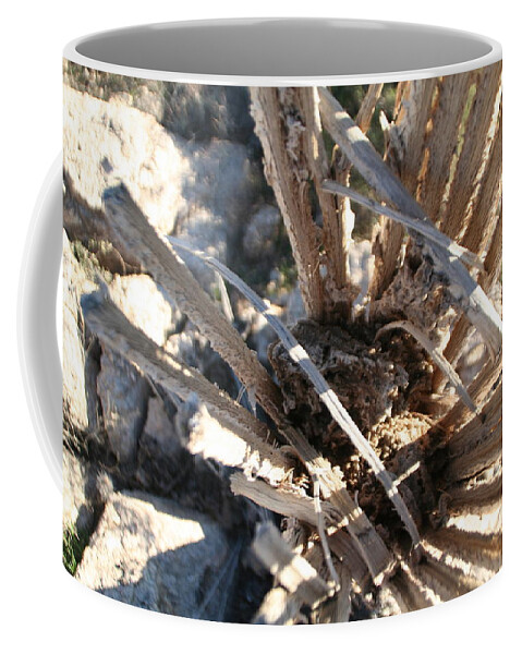 Arizona Coffee Mug featuring the photograph Inside #2 by David S Reynolds