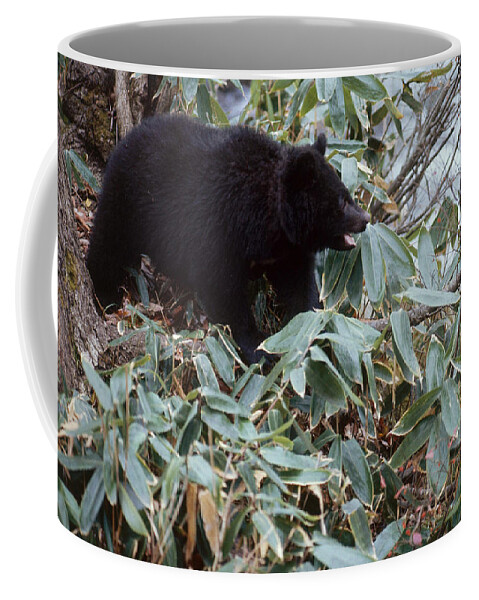 Animal Coffee Mug featuring the photograph Japanese Black Bear #1 by Akira Uchiyama