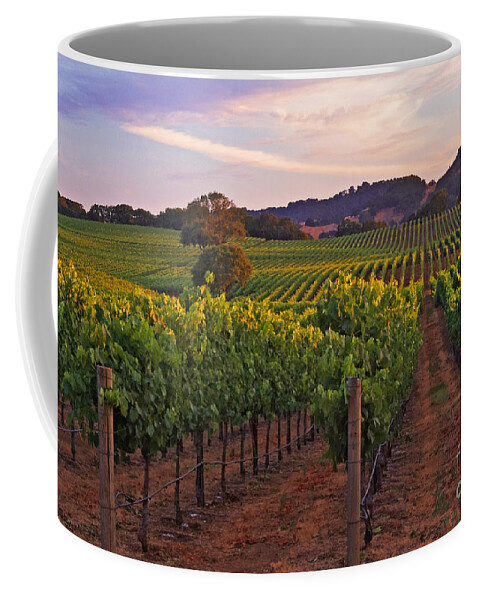 Calistoga Coffee Mug featuring the photograph Knight's Valley Summer Solstice #1 by Charlene Mitchell