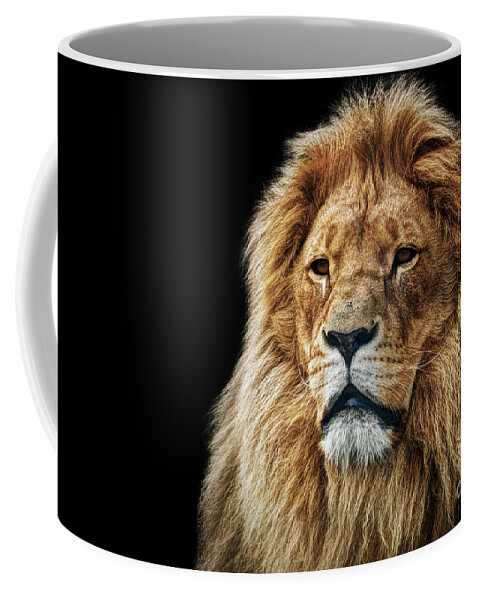 Lion Coffee Mug featuring the photograph Lion portrait with rich mane on black #1 by Michal Bednarek