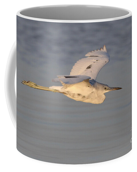 Little Blue Heron Coffee Mug featuring the photograph Little Blue Heron by Meg Rousher