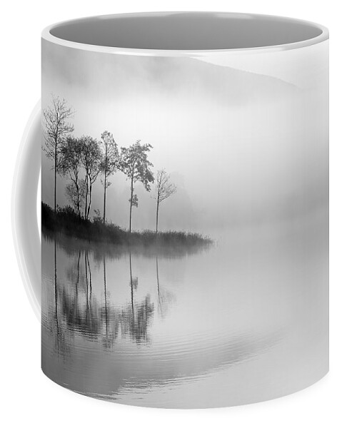 Loch Ard Coffee Mug featuring the photograph Loch Ard trees in the mist by Grant Glendinning
