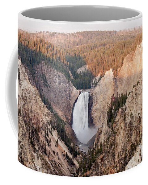 Artist Point Coffee Mug featuring the photograph Lower Yellowstone Falls on the Yellowstone River at Artist Point #1 by Fred Stearns