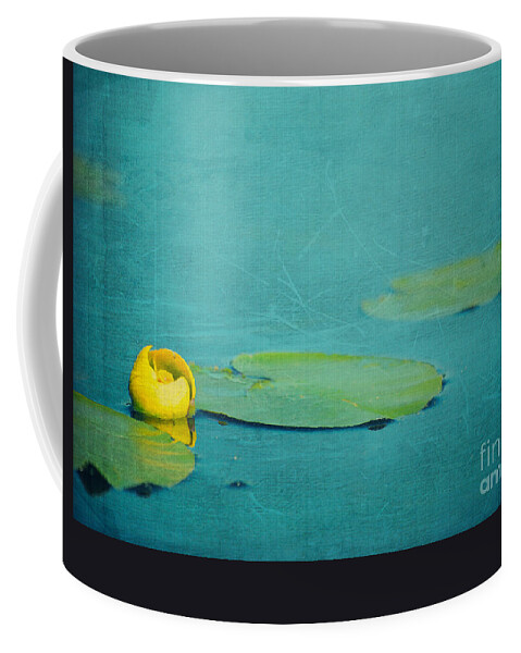 Nature Coffee Mug featuring the photograph Meditation #1 by Aimelle Ml