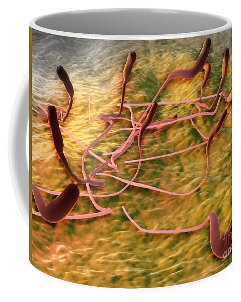 No People Coffee Mug featuring the digital art Microscopic View Of Sperm #1 by Stocktrek Images