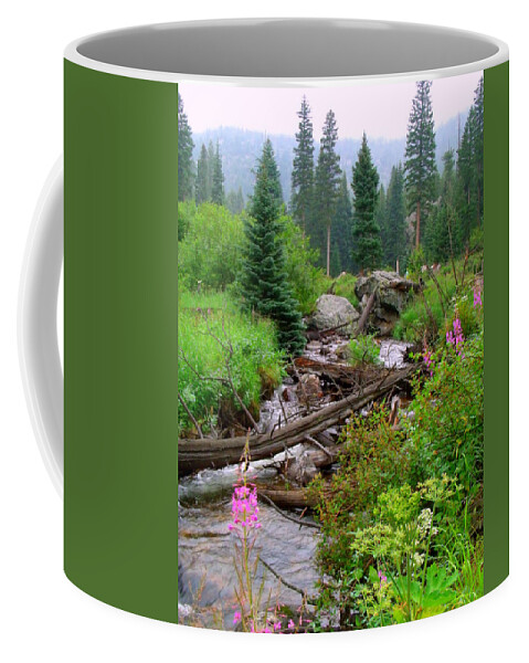 Colorado Coffee Mug featuring the photograph Misty Mountain #1 by Jessica Myscofski