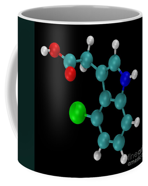 Auxin Coffee Mug featuring the photograph Model Of 4-chloroindole-3-acetic Acid #1 by Scott Camazine