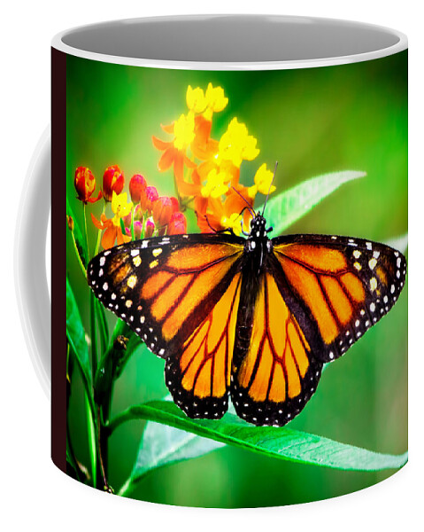 Monarch Butterfly Coffee Mug featuring the photograph Monarch Butterfly by Mark Andrew Thomas