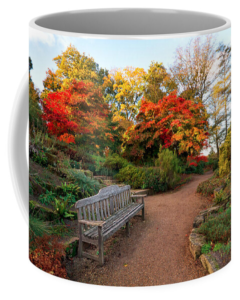 Landscape Coffee Mug featuring the photograph Morning light #1 by Shirley Mitchell